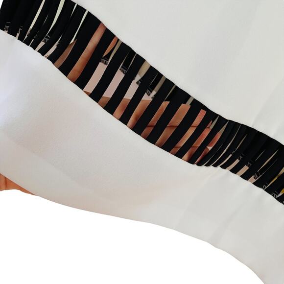 Catherine Malandrino Olivia White & Black Dress | Business | Size 6 - Picture 8 of 10